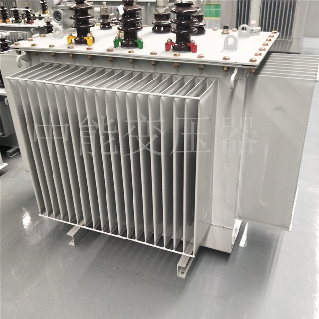 大武口S13-2500KVA/6.3KV变压器